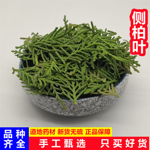 侧柏叶中药材500克包邮新鲜侧柏叶阴干侧柏叶侧柏叶粉洗头发乌发