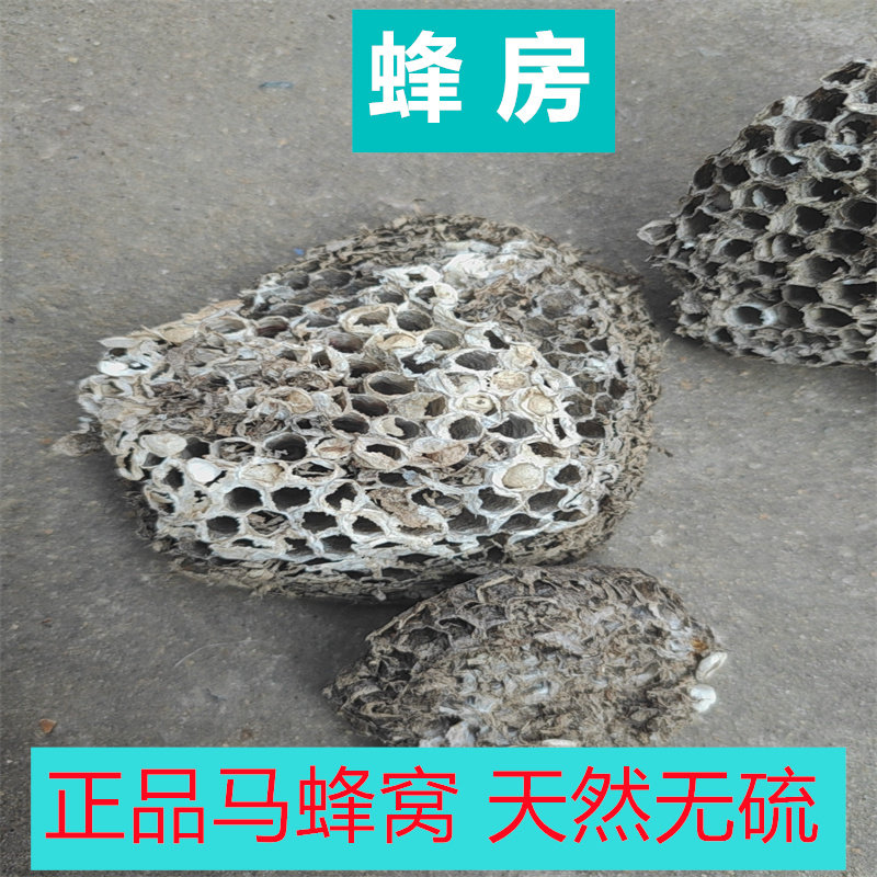 蜂房中药材正品马蜂窝