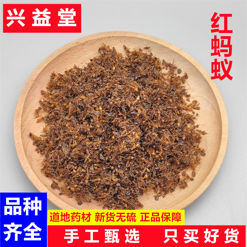 红蚂蚁中药材500克正品新货 红蚂蚁干泡酒 另黑蚂蚁拟黑多刺蚁