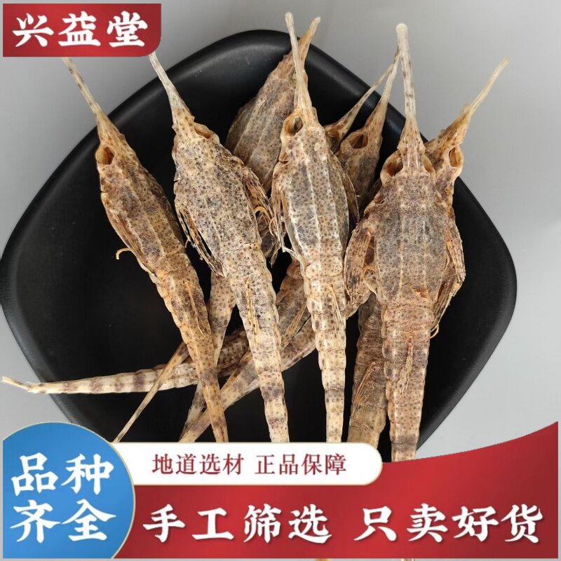 海燕中药材南澳岛淡海麻雀海燕子
