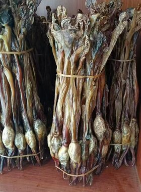 狗鞭中药材20克带睾丸狗肾
