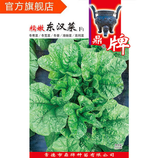 鼎牌 糯嫩东汉菜 植株生长快 叶多茎少 口感糯嫩顺滑 抗病 抗虫