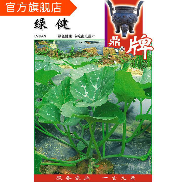 鼎牌绿健专吃南瓜茎叶特色蔬菜种子绿色健康口感微甜无病虫害高产