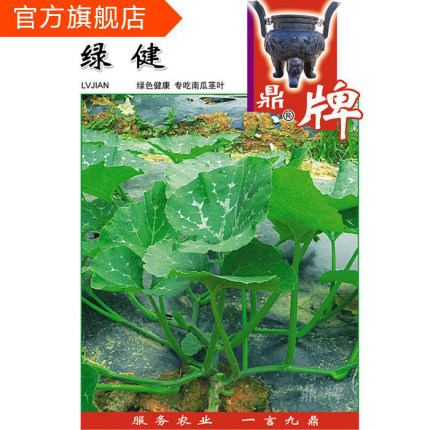 鼎牌绿健专吃南瓜茎叶特色蔬菜种子绿色健康口感微甜无病虫害高产