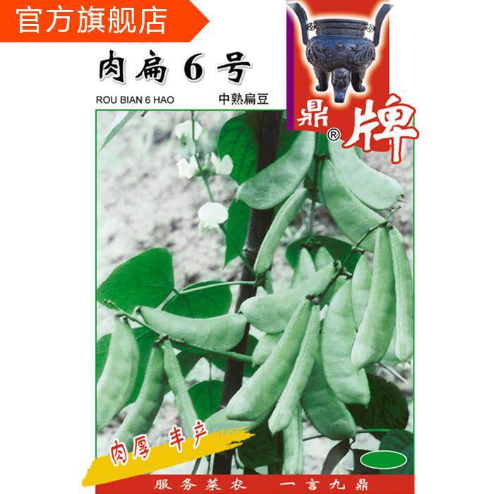 鼎牌肉扁6号中熟扁豆种子 肉质肥厚 生长势强 适宜稀植 高产量在类目 农用物资, 种子/种苗, 蔬菜种子中 - 来自Buy2taobao.com提供专业的淘宝代购服务
