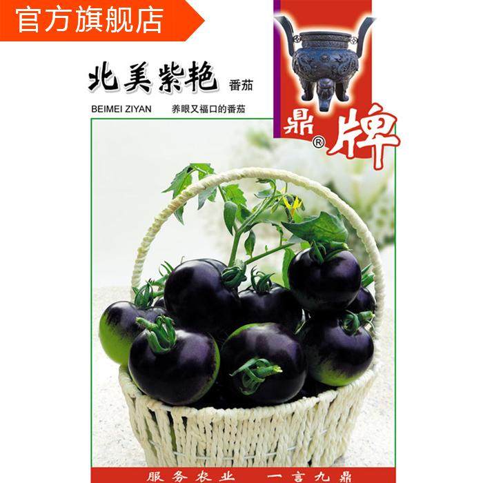 鼎牌北美紫艳 早熟番茄种子 源自加拿大 果实紫色 适合观光采摘园在类目 农用物资, 种子/种苗, 蔬菜种子中 - 来自Buy2taobao.com提供专业的淘宝代购服务