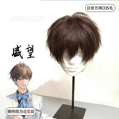 某某盛望假发男深棕色m字短发毛胚帅气动漫二次元cos万用毛全头套