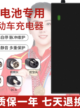 36V锂电池电瓶充电器三元10串42V2A5A10A大功率快充锂电池充电器