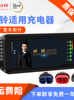 适用于台铃智能电动电瓶三轮车充电器48v12ah60v20ah72通用