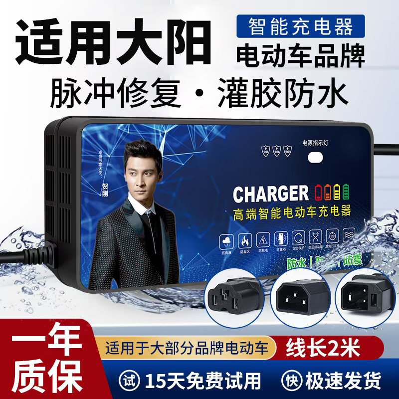 适用大阳电动车电池灌封防水充电器48V12AH60V20AH72V32Ah