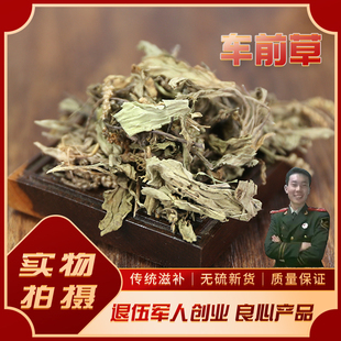 中草药 车前草 无硫磺车前草 费 精品中药材 车前草500克正品 免邮