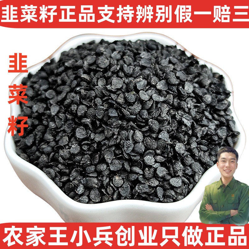 中药材韭菜子非葱子冒充500克1件包邮可免费打粉也炒熟籽发货肾补