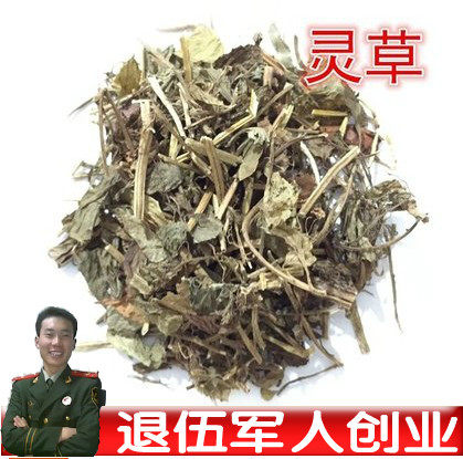 零陵草500克包邮 灵草 香草 灵香草   川菜卤料火锅底料调料香料