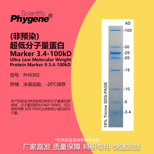超低分子量蛋白Marker 50ul 100kD Phygene 3.4 PH0302