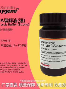 RIPA裂解液 强中弱 蛋白细胞组织裂解液 实验试剂 100ML PHYGENE
