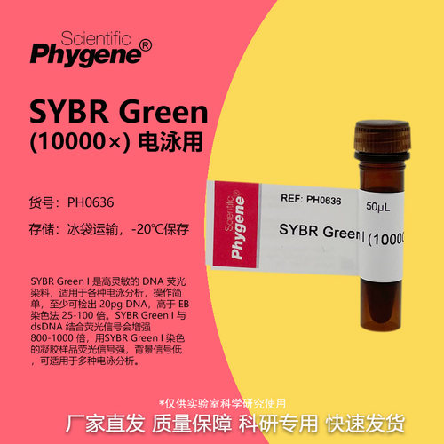 SYBRGreenI核酸电泳