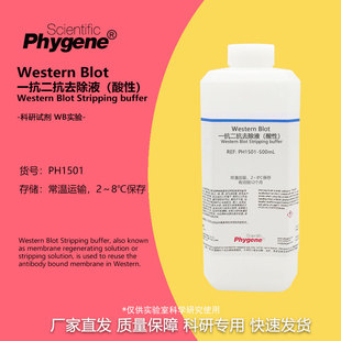 WB一抗二抗洗脱液(酸性) 膜再生液 抗体剥离液 Stripping buffer