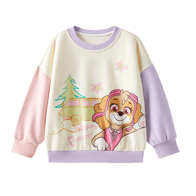 童装女童卫衣春秋款2024长袖卫衣