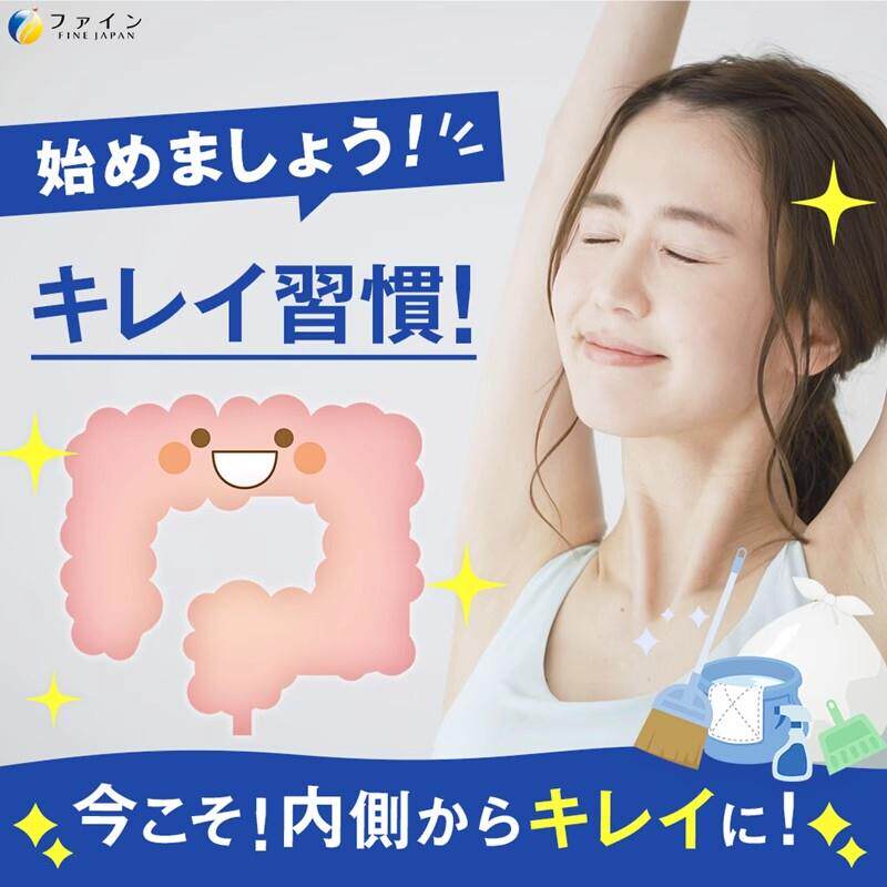 日本FINE益生菌果冻20条双歧杆菌乳酸菌养护胃肠新陈代谢消化现货