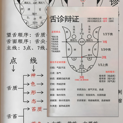 高清大张】舌诊辩证中医医学古象看诊健康自查医学生笔记自粘贴纸