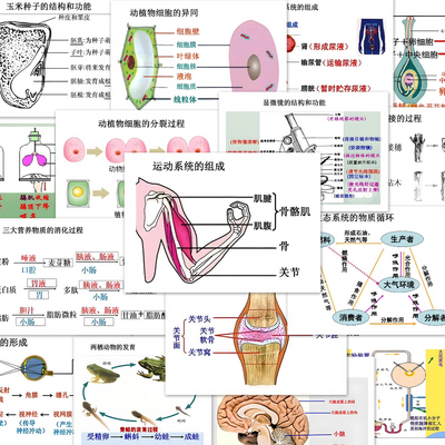 生物中考速记贴纸初中知识点重点