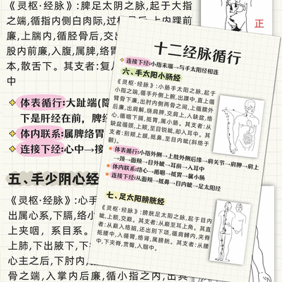 中医人体十二经脉循行医学生针灸机械胡穴位解析经络疏通科普贴纸