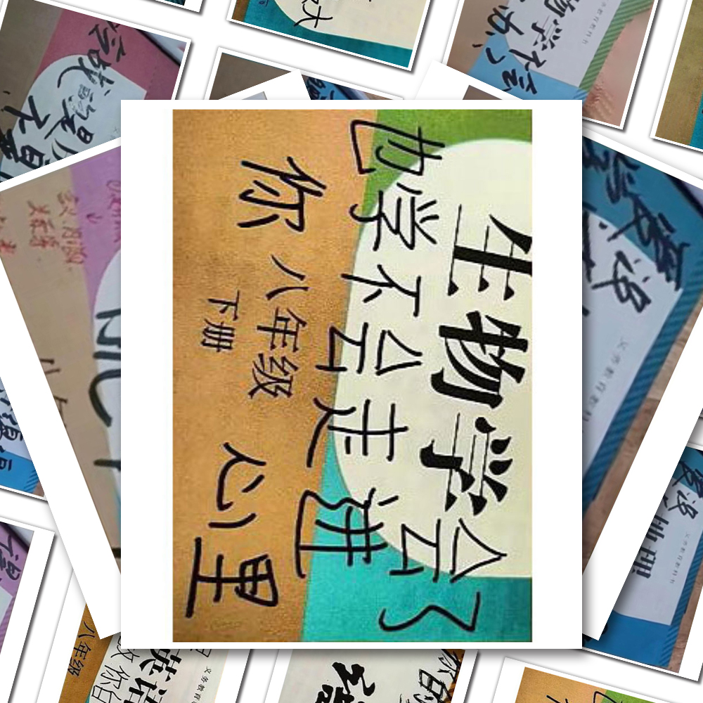 低头是题海抬头是未来】书写青春文案趣味ins治愈语录背景贴纸