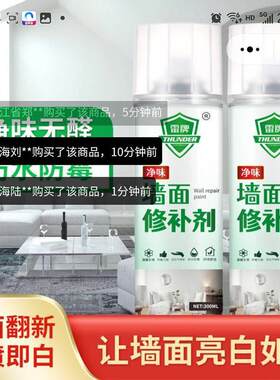 雷牌墙面修补剂特莱维尔防水霉墙壁喷漆罐室内外墙翻新白色补墙膏