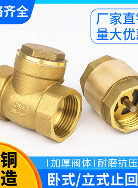 全铜卧式止回阀立式止回阀单向阀逆止阀耐高温4分6分1寸DN152025