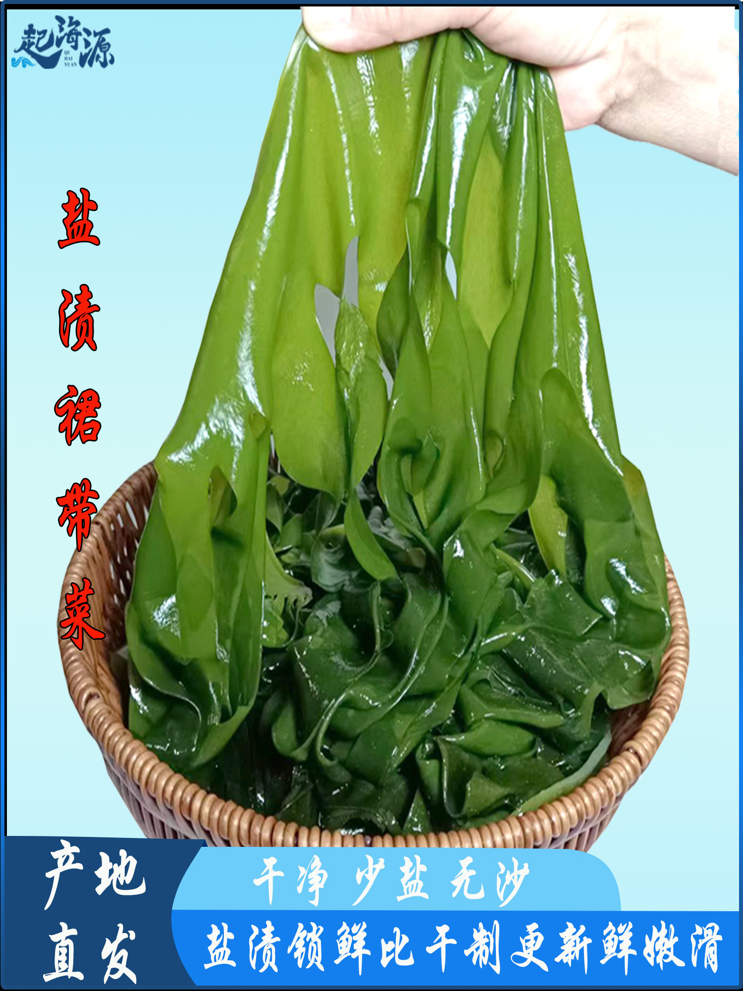 新鲜盐渍裙带菜5斤/3斤整箱商用嫩高品质半干宝宝海带儿童海白菜