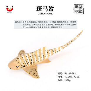 仿真海洋动物模型海底生物斑马鲨大尾虎鲛豹纹鲨儿童认知塑胶玩具