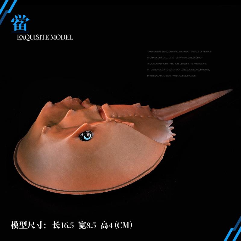 远古活化石鲎儿童认知玩具摆件仿真实心海洋动物世界模型生日礼物