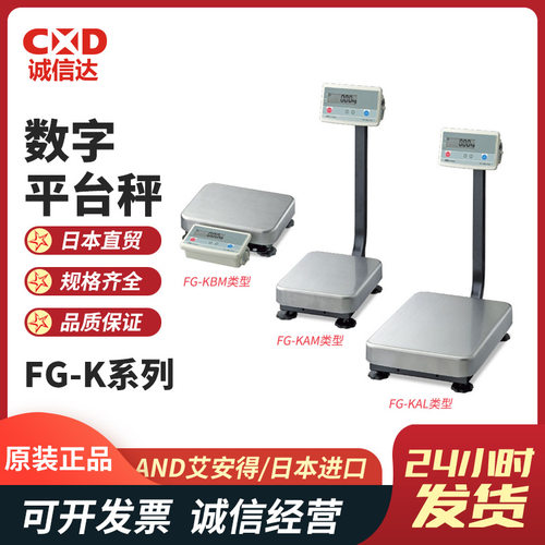 全新日本进口AND艾安得FG