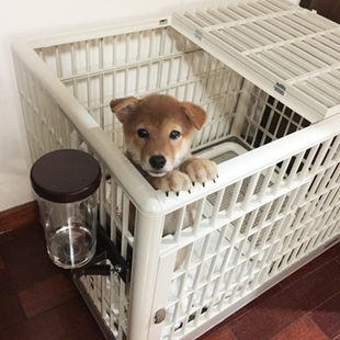 IRIS爱丽思树脂狗笼子狗别墅爱丽丝家用小狗笼子室内狗屋小型犬