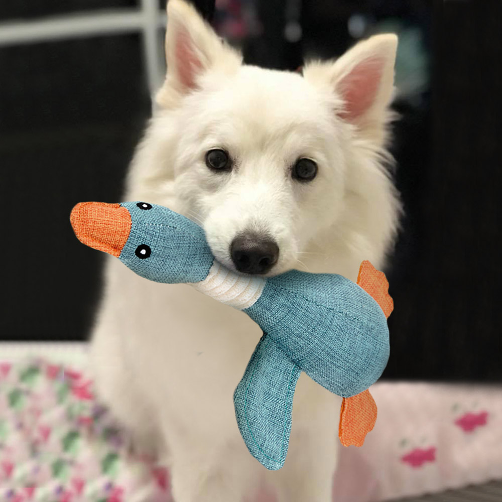 狗狗玩具泰迪小型犬大型犬幼犬