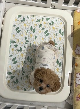 iris爱丽思狗狗厕所爱丽丝狗厕所宠物便盆尿盆小型犬泰迪用品平板