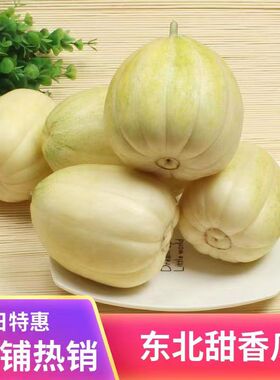 京东包邮东北香瓜金飞香瓜京密香瓜新鲜农家黑土地种植自然
