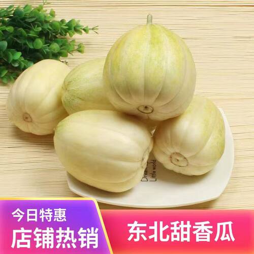 东北京蜜香瓜金飞香瓜