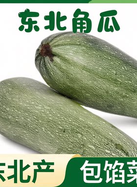东北产新鲜角瓜老式西葫芦农家大白瓜包馅好吃当季时令蔬菜包邮