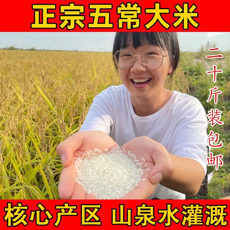 农户直销五常稻花香2号大米民乐乡25年原生态现磨新米高端10kg