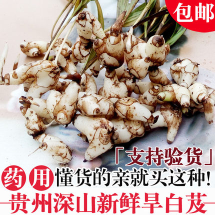 精选药用白芨 贵州深山新鲜中药材旱紫花糯小白及500g可盆栽包邮