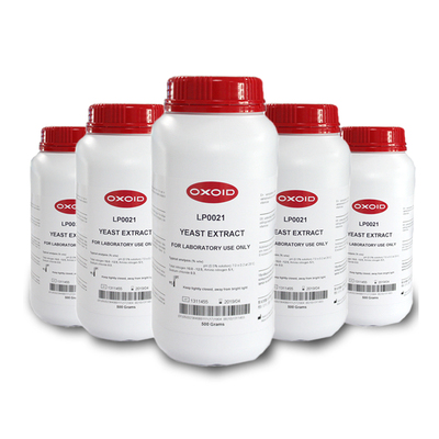 LP0021酵母粉YeastExtract