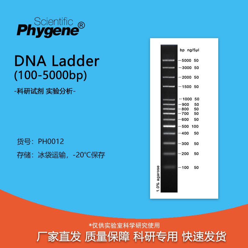 核酸电泳DNAMarker100-5000bp