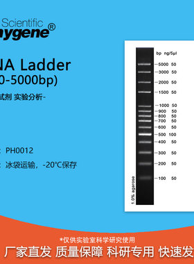 100bp plus DNA Ladder/Marker (100-5000bp) [PH0012 PHYGENE]
