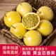 黄金果5斤大果时令整箱当季 包邮 水果 黄金百香果新鲜 海南钦蜜9号