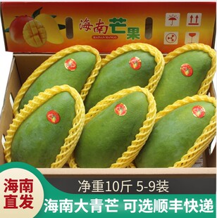 10斤海南三亚青皮大芒果 青皮芒果  当季新鲜特大水果整箱芒果