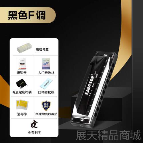 正品EASTO0P方T鼎T09十孔布鲁斯初学蓝调口琴练习专业演东奏paddy