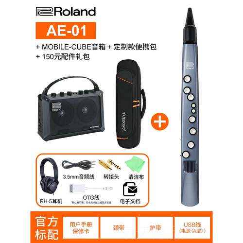 正品罗兰电吹管AE01电子者黑管乐0AE1C电萨克斯笛子AE05初学入器