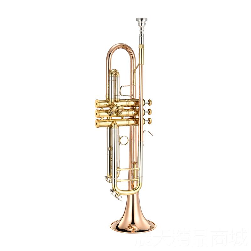 正品新宝乐器键铜管小号乐器黄铜降B型调按考铜级演奏用TR500P磷