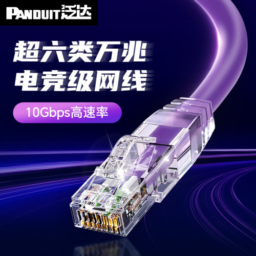 泛达超六类非屏蔽粗网路线路由器家用宽带万兆连接线成品加长10米